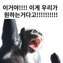 신촌축산 이미지