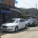 백운산 솔밭 앞 이미지