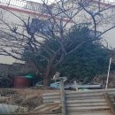 연제구-106 이미지