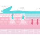 홈케어의원 이미지