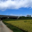 전대2리 이미지