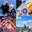 세부 3박 5일 여행 현지 여행사 추천 한국인 가이드 후기 (안전 호핑투어 시티투어)