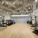 나무트레이닝 | 합정동 헬스장 나무트레이닝센터 직장인 운동하기 좋은 곳
