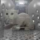 함께냥 본점 이미지