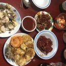 아이러브독 애견미용실 이미지