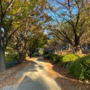 옥녀봉공중화장실 이미지