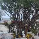 해가헌 | 함평펜션 친구들과 다녀온 해가헌 후기