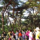 포항유치원 이미지