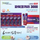 코끼리식품 네이버블로그