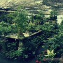 동양화원 이미지