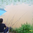 광혜원주유소 이미지