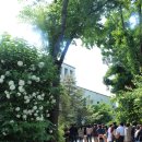 남봉세탁소 | 2012 봄 간송미술관 특별전 " 진경산수회화대전 "에서