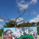 운악산 화장실1 이미지