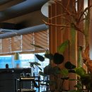 다향새우 | [판교] 판교 JS가든 현대백화점 판교점. 다향오리에서선보이는 중식당의 맛은?