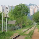 올레길 산림형 3코스 이미지