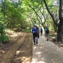 우면산6-10 이미지