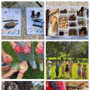 맑은샘이 있는 봄 이미지