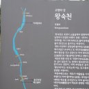 왕숙천고향의강 이미지