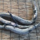 화련농장 이미지