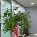 이광욱내과의원 이미지