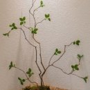 아빛스테이 이미지