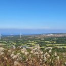 상진공인중개사사무소 이미지