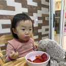 루나키즈풀빌라 | 가평 루나키즈풀빌라 이용후기