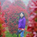 안덕농장 이미지