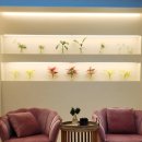 현암로L | 용인 죽전 헤드스파 컬러드스파 용인죽전점 l 건조하고 따끔거리는 문제성 두피솔루션 후기
