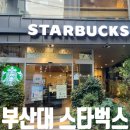 모하다 | 부산대 카페 스타벅스 부산대역점 카공 노트북 자리 분위기