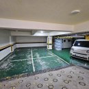 명륜체육관 이미지