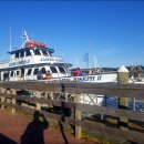 광어생각 이미지