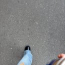 최근 인상 깊었던 일들 모음 | 영화 소울메이트 후기