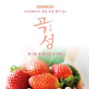 곡성-195 이미지