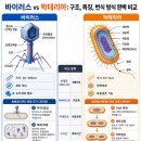 [엽기사진 게시판] 퍼온 글(바이러스 VS 박테리아) 정리 이미지