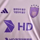 카젠(황금점) | 24 울산 HD FC HD 현대 일렉트릭 브랜드 데이 유니폼/핑니폼 4XL 주민규 마킹 구매후기
