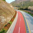 국도13호선 가로수 이미지