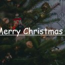 조원초교 이미지