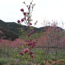 향원농장 이미지