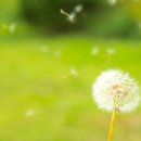 연세모두소아청소년과의원 이미지