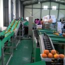 남밀양농협 초동지점 이미지