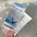 여행 : [부산 송도 해상 케이블카] 부산 가볼만한 여행지 해상케이블카와 용궁구름다리