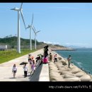 군산바다 이미지