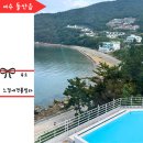 367-2-000018 | 여수 애견동반 펜션 애견 풀빌라 여수 숙소 추천 느낌애견풀빌라 재방문 의사 있음 내돈내산 후기