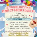 광주동물메디컬센터 이미지