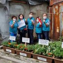 길음2동주민센터 이미지