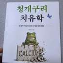 청개구리 | 건강관리 책 추천, 청개구리 치유학 직접 읽어본 후기
