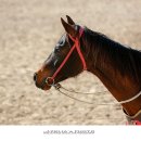 더마파크 공연장 이미지