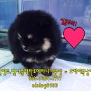 남양별내2 이미지