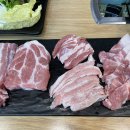 그레이스돈뭉치